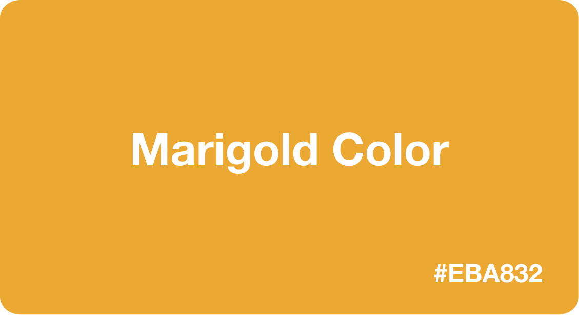 Marigold Color Best Practices, Color Codes, Palettes & More!